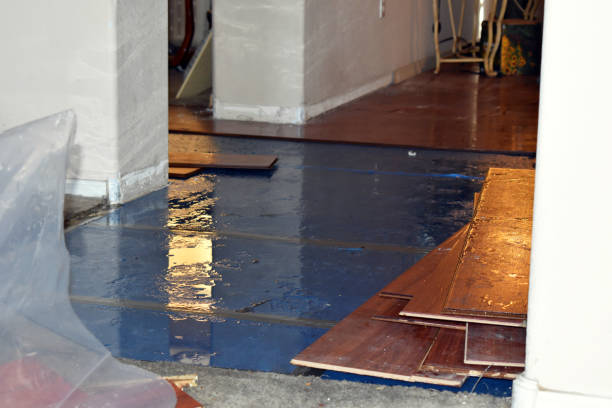 Professional Basement Flood Cleanup technician working in Rainbow City, AL